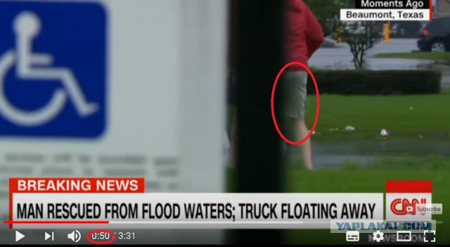 Репортёр CNN в прямом эфире спас тонущего водителя в Техасе
