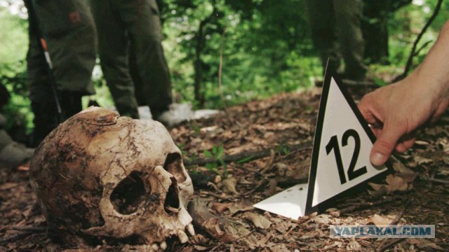 25 лет спустя после войны в Боснии...