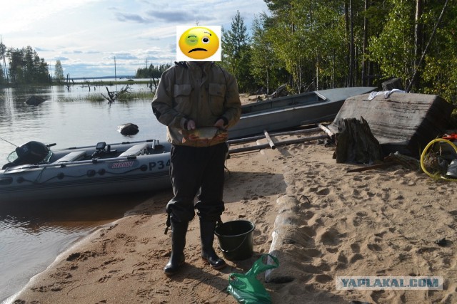 Беседка ФиС ЯПа