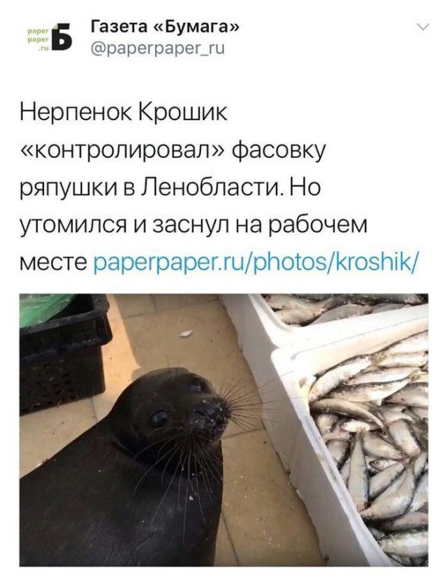 Разное из инэта