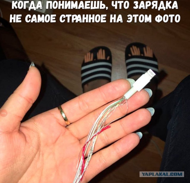 Забавные шутки, фразы и комментарии из этих ваших интернетов