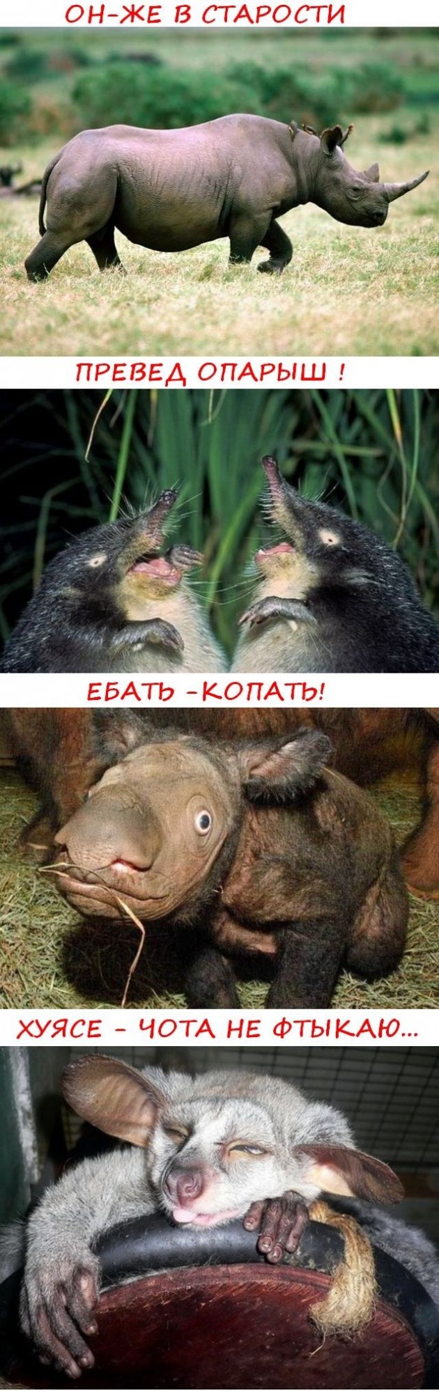 А кому червячка на рыбалку?