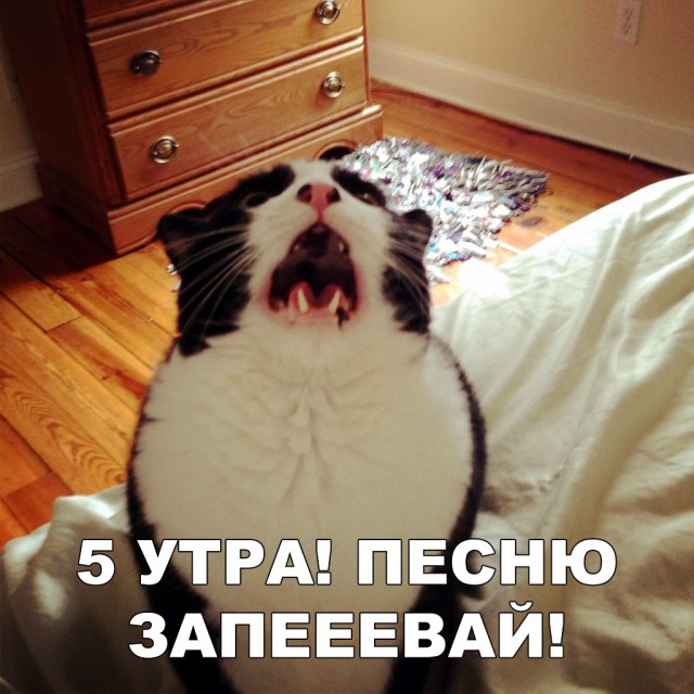 Нестандартный юмор