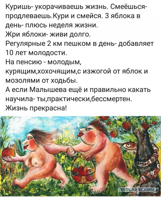 Похождения Иммуномодулятора...