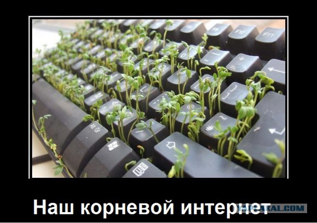 Вся суть законописцев и тех, кто голосует за их законы в Думе.