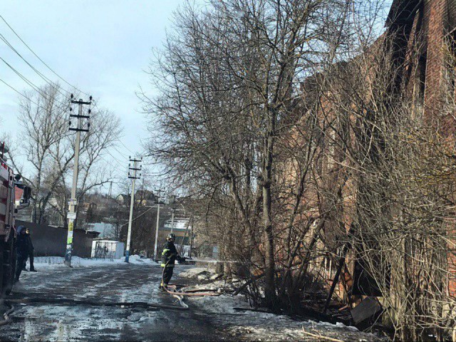 В Подмосковье волонтеры лечат от ожогов бездомного песеля, который спас несколько человек из пожара