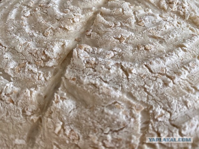 Хлеб простецкий с овсяной кашей