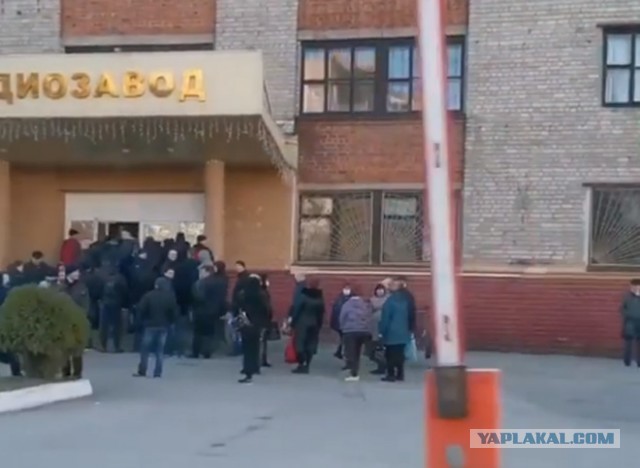 Сбор заразы на Тамбовском заводе "Октябрь"