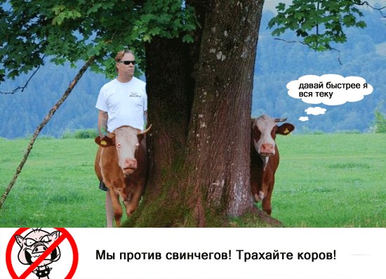 Как ты думаешь, измена скора отпустит?
