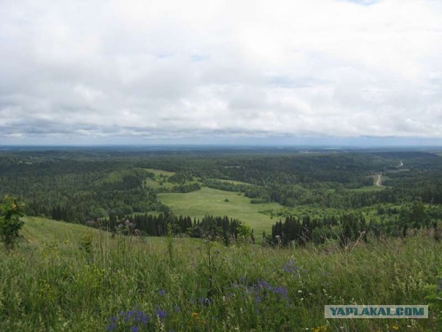Где-то на Урале лес заменяет людям небо
