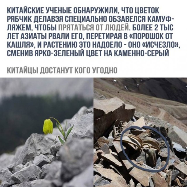 Картинки и мемы для настроения 027