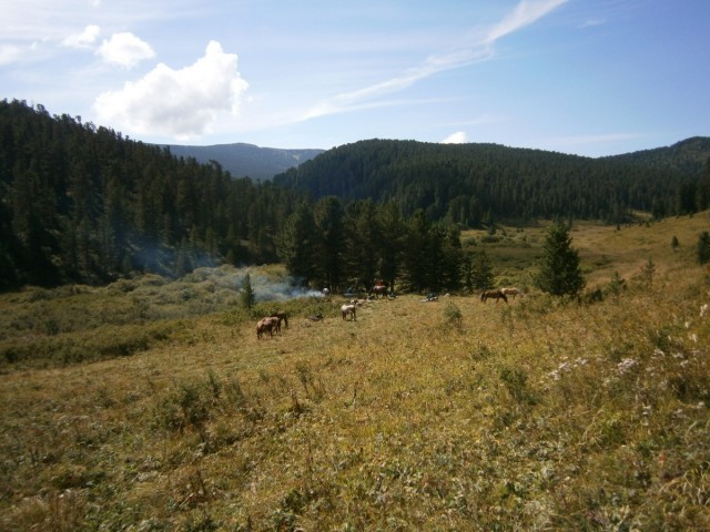 На конягах по Алтаю