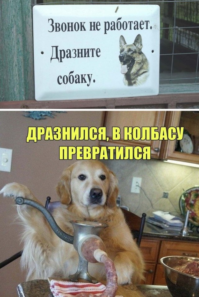 Картинки и мемы для настроения 028
