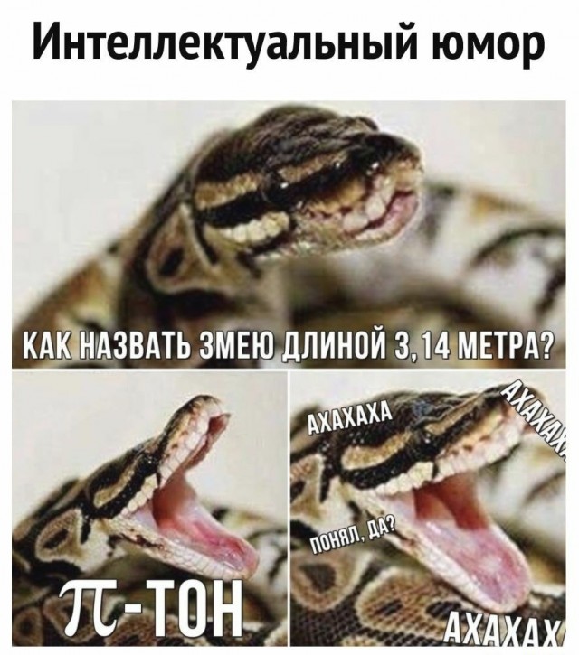 Не очень адекватный юмор