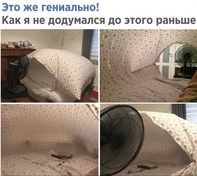 Веселые картинки отовсюду 23.02.21