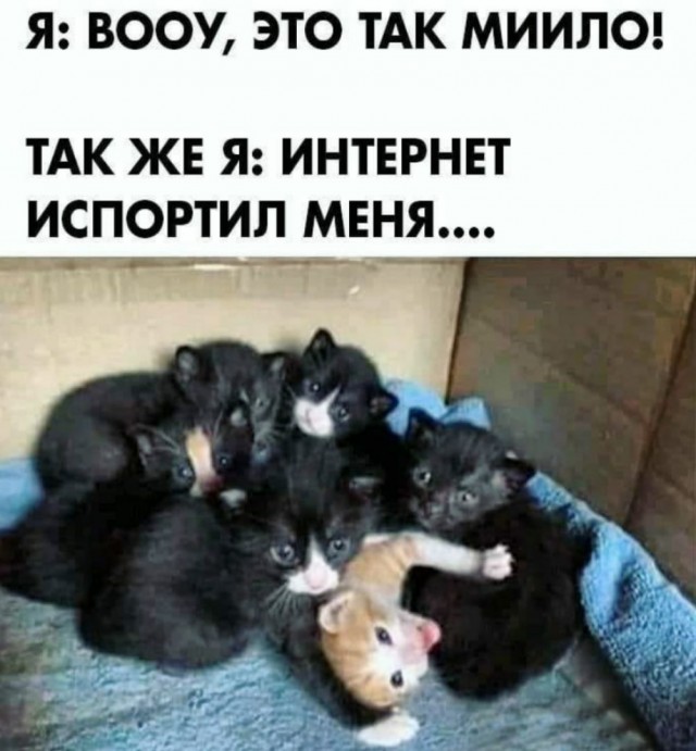 Пятница. И немного слегка пошлых картинок с надписями и без 16+ (26.02)