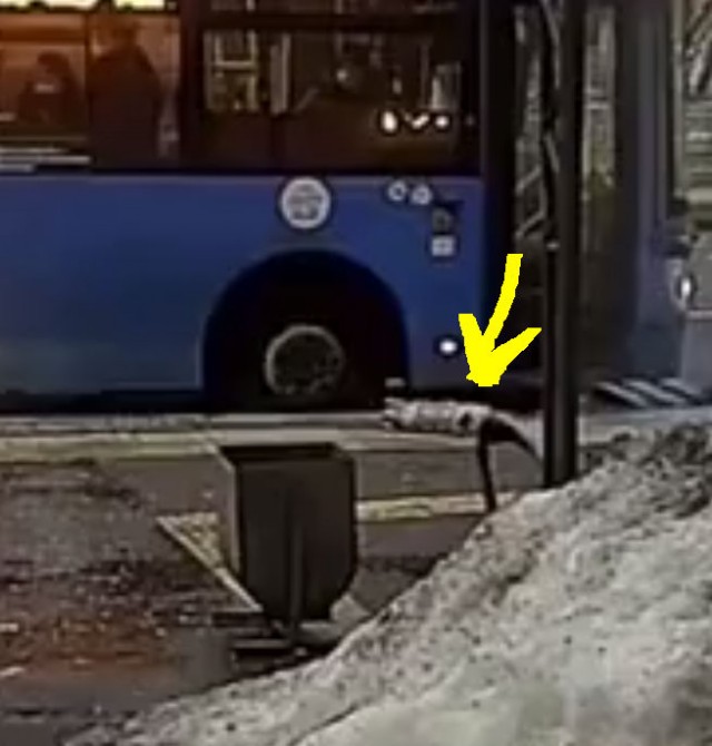 В Москве автомобиль сбил людей на остановке