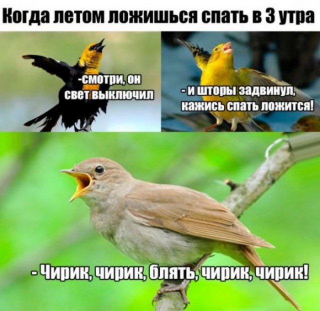 Чуток картинок 11.09.21
