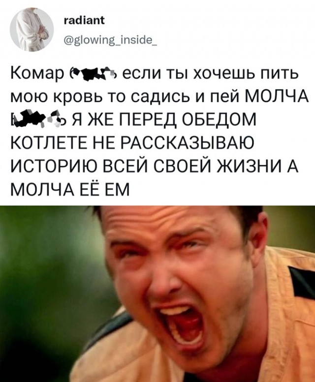Весёлый полтишок 15.09