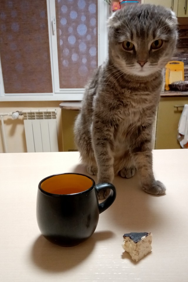 А из какой кружки вы пьете чай/кофе дома?