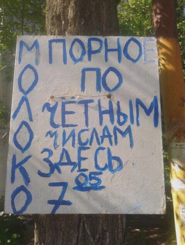 Потрудитесь объяснить свои действия