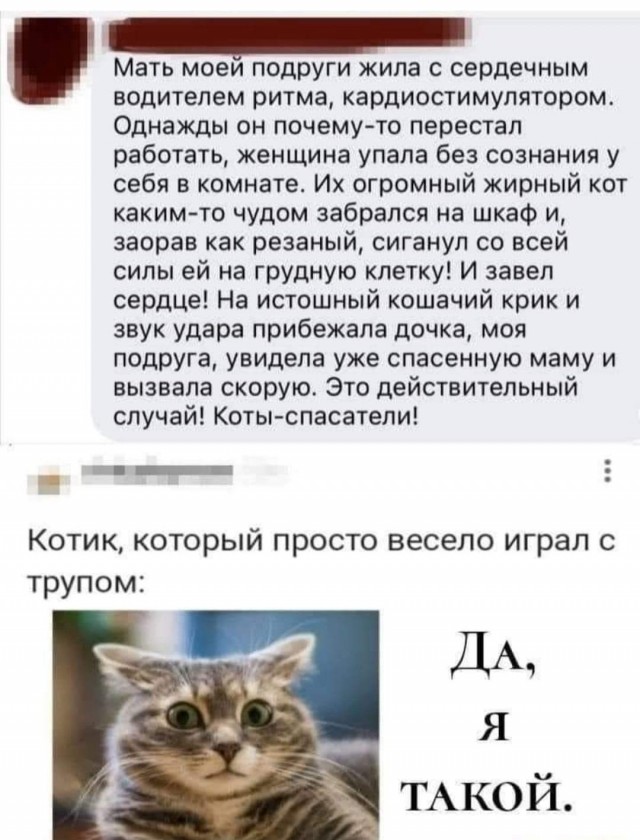 Всяческие картинки 29.11.2021