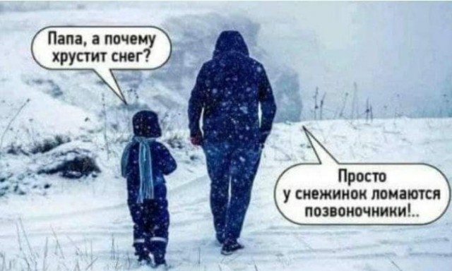 Всяческие картинки 10.12.2021