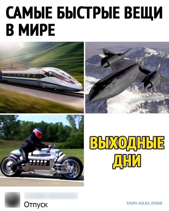 Картинки аморальные и всякие разные - 20