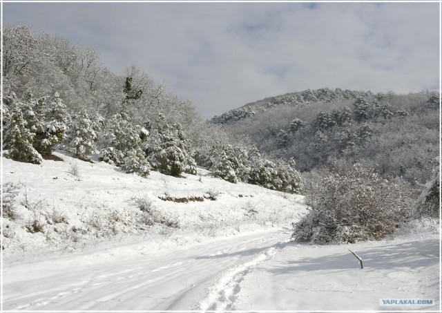 Крым. Терновка. Зимние дороги.