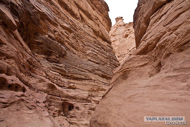 Синайские приключения. Шарм-эш-Шейх и окресности
