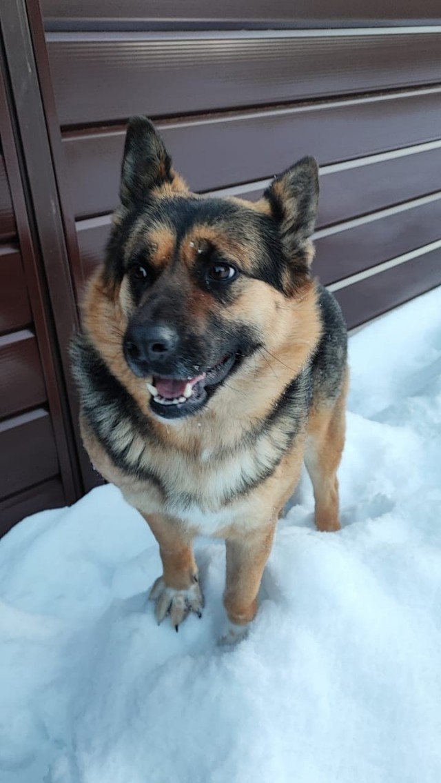 Дождалась на даче