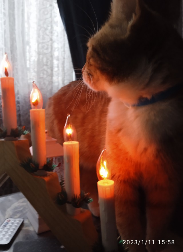 Само совершенство