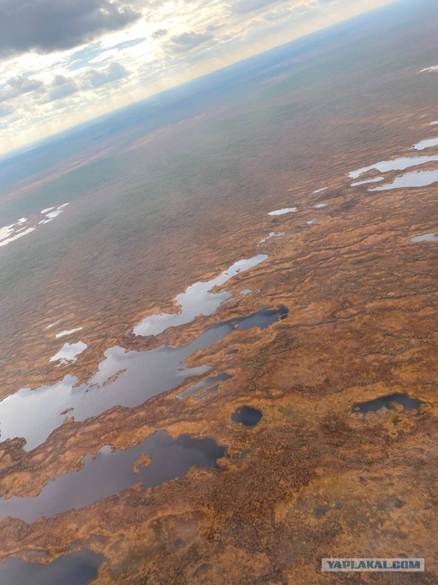 Васюганские болота: где находится самая огромная и неприступная топь в мире и что мы знаем о ней