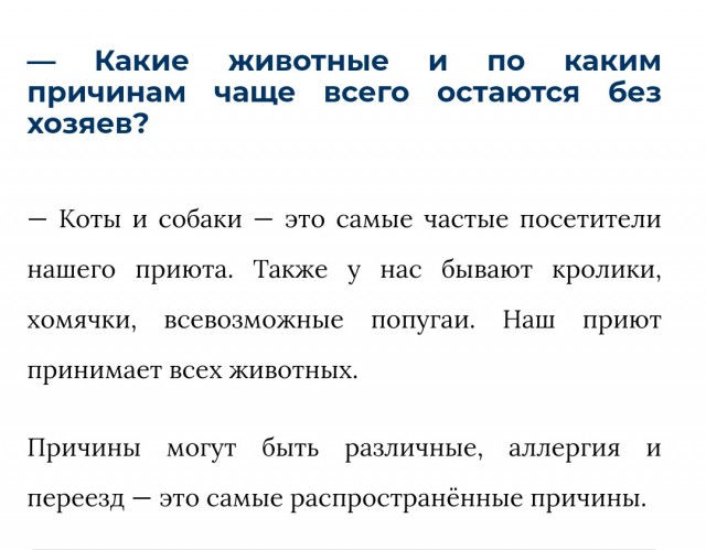 Регионам разрешили усыплять бездомных собак
