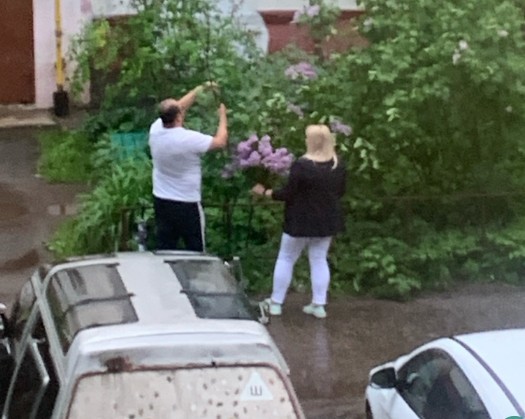 Цветочные паразиты