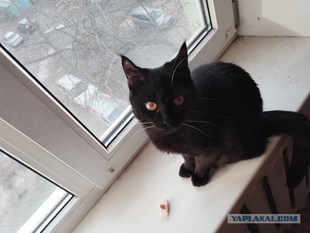 Я в ваших рядах, братцы, рабы!!!