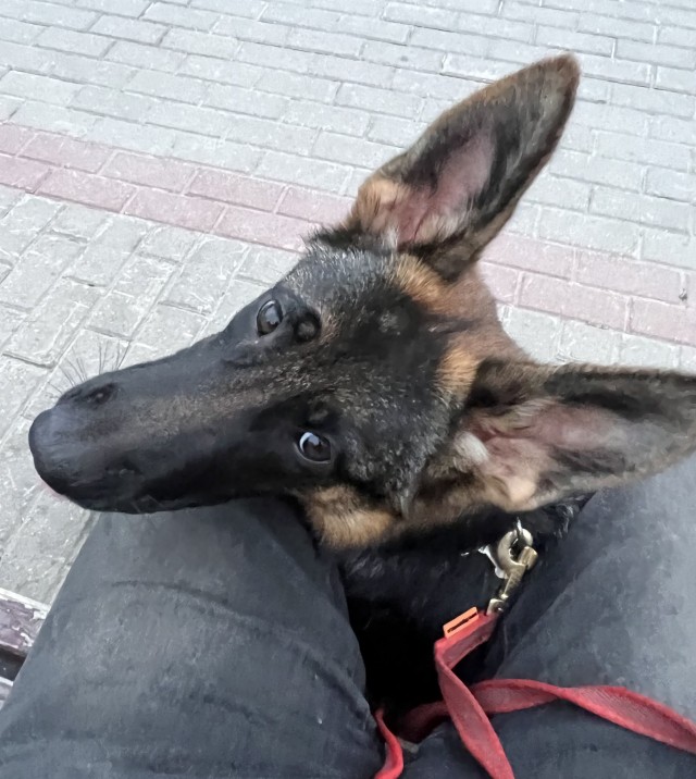 Всё-таки четверг