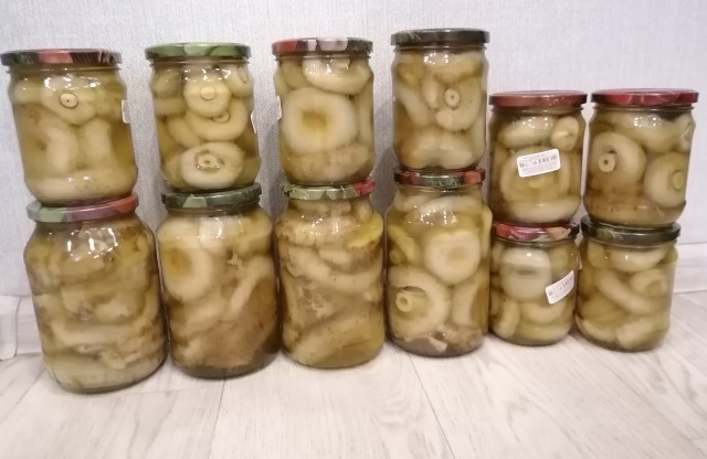 Грибы