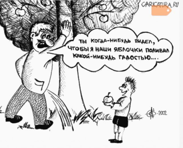 Присев под дерево, бойся оказаться в тюрьме