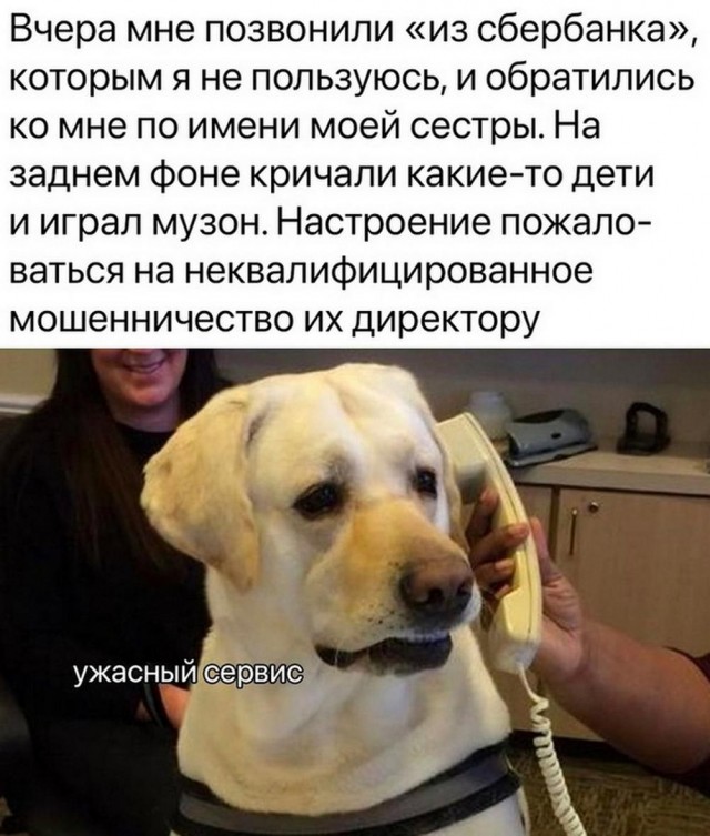Всего понемногу. От 18.12.23