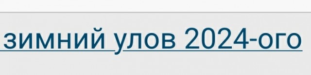 Ну вот и последний, зимний улов 2024-ого года!