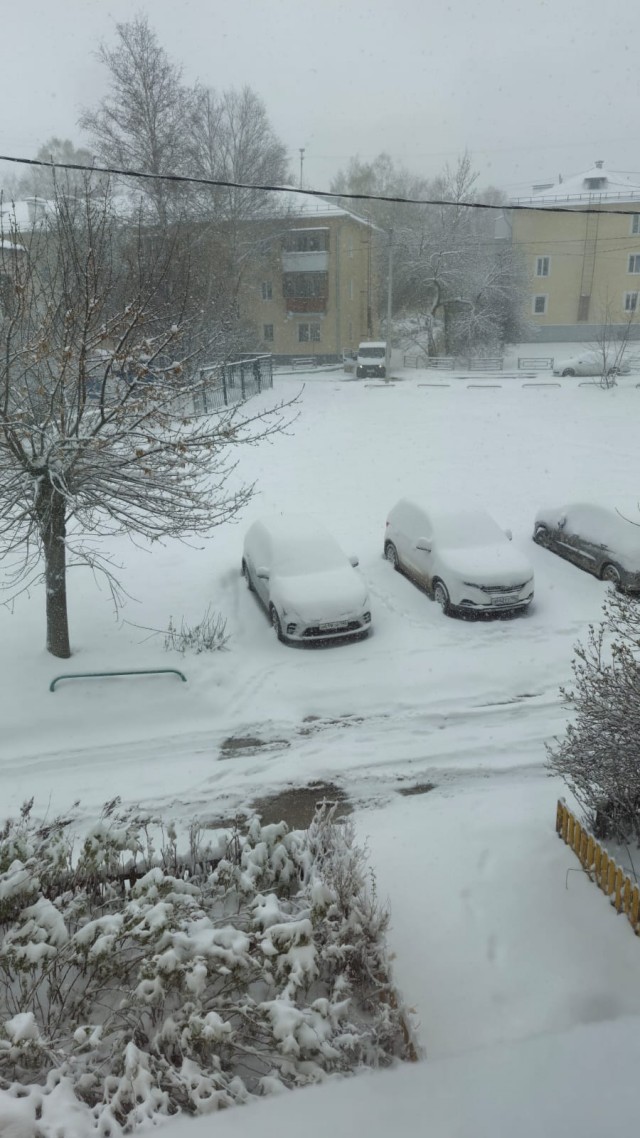 Май, ты чиво наделал?