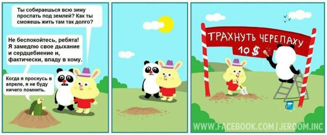 Никакие картинки
