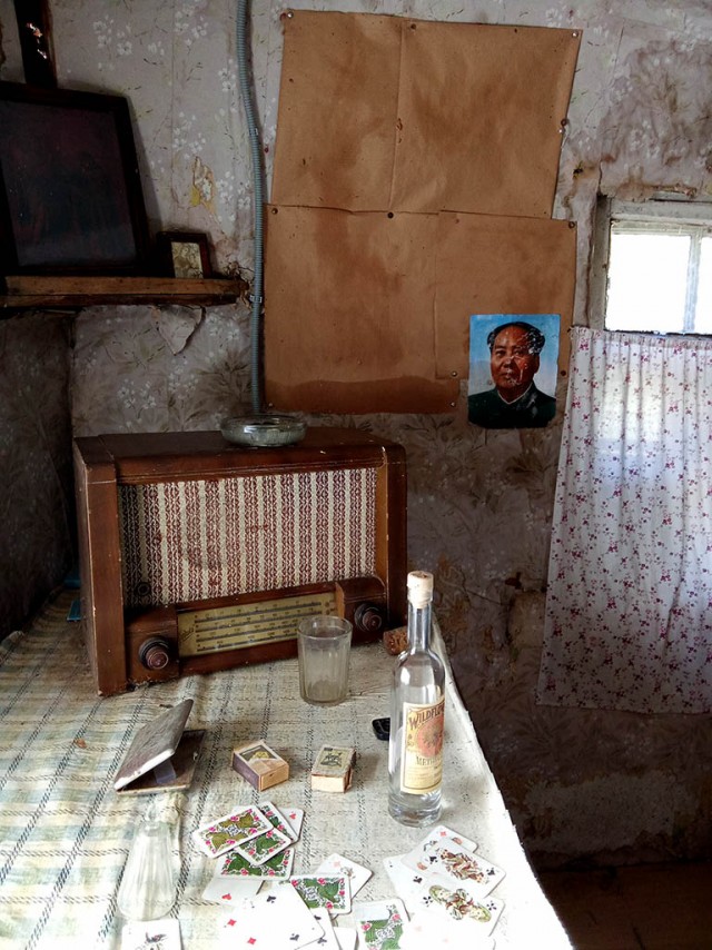 Пушкинские Горы. В доме Довлатова