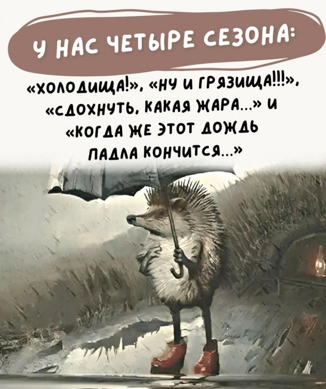 Так себе картинки 11.11.24