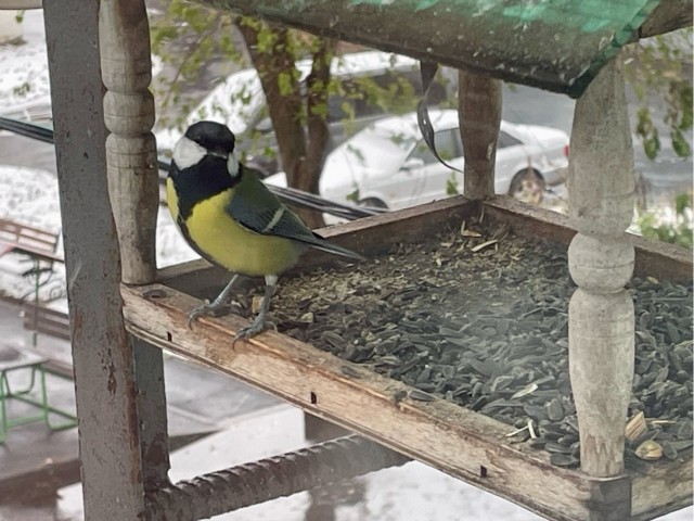 Одного фото псто