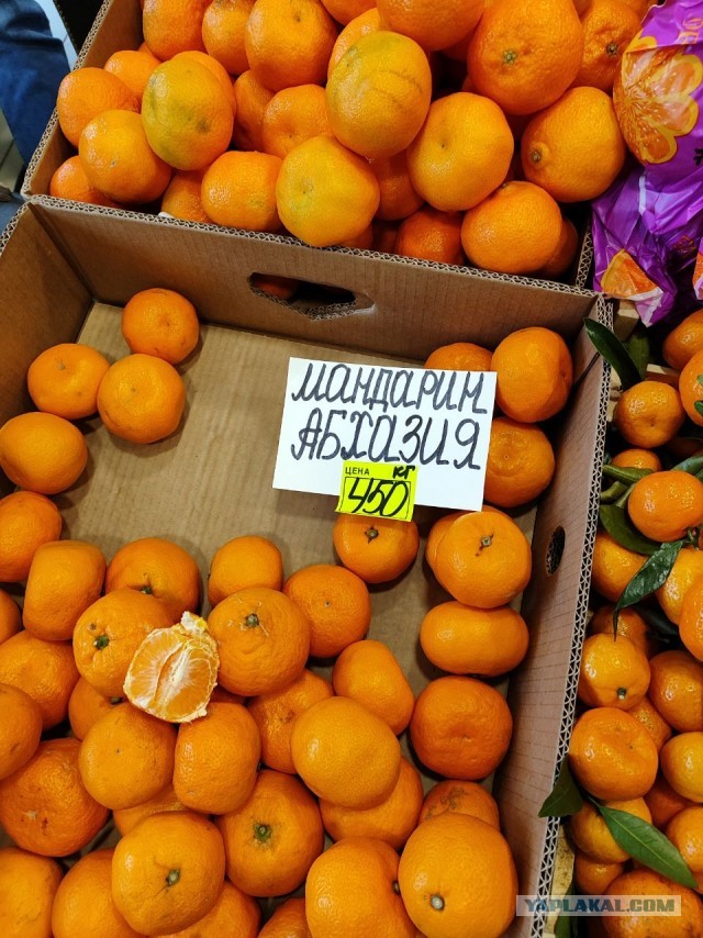 Цена мандаринов в Обнинске