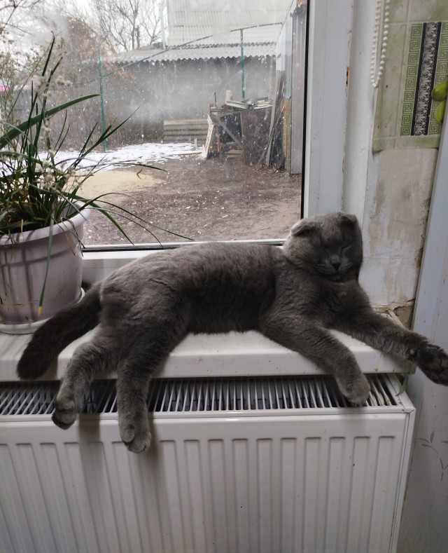 Ты чьих будешь? Чей холоп, спрашиваю?