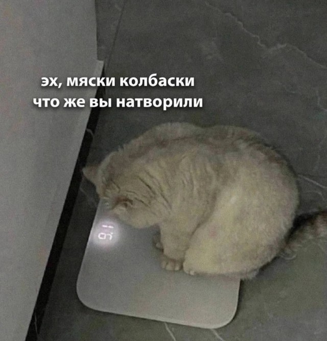 Так себе картинки 14.03.25