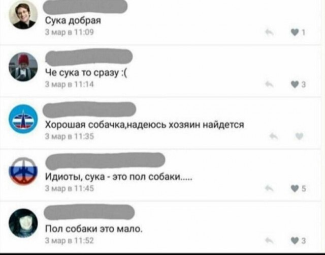 Деградильня